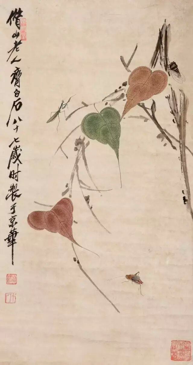 蝉