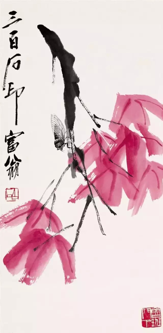 枫叶蝉