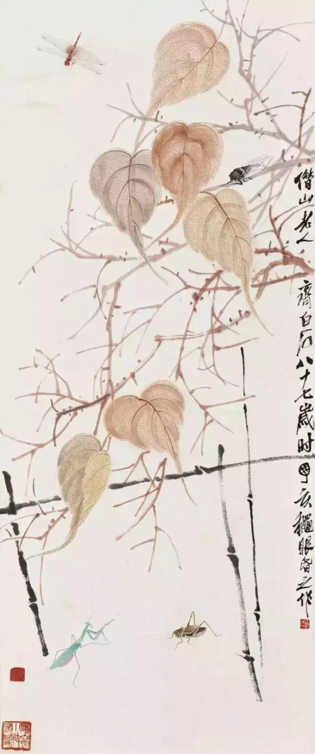 贝叶草虫1