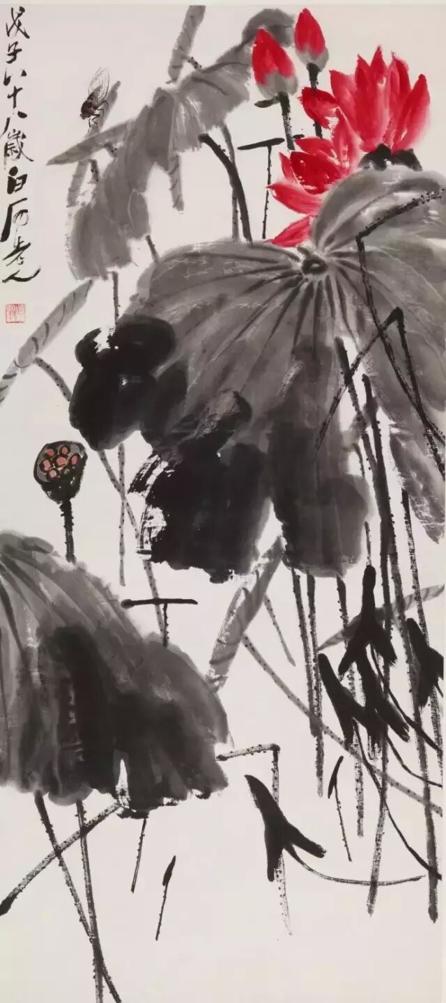 红荷鸣蝉