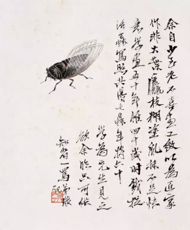 知了